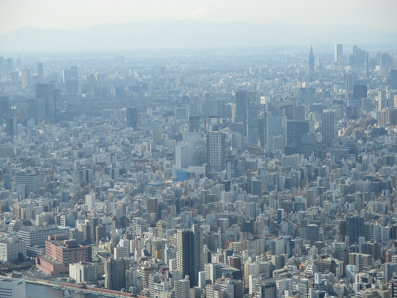 スカイツリーと 和のデザイン 東大阪の新築一戸建てなら城戸産業 スカイツリーと 和のデザイン 東大阪の新築一戸建てなら城戸産業